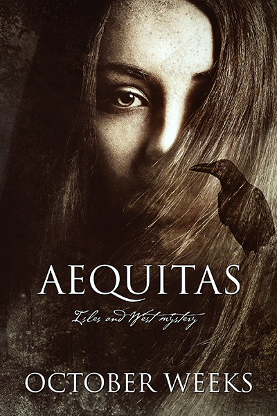 aequitas-customdesign-nov2016-smallpreview